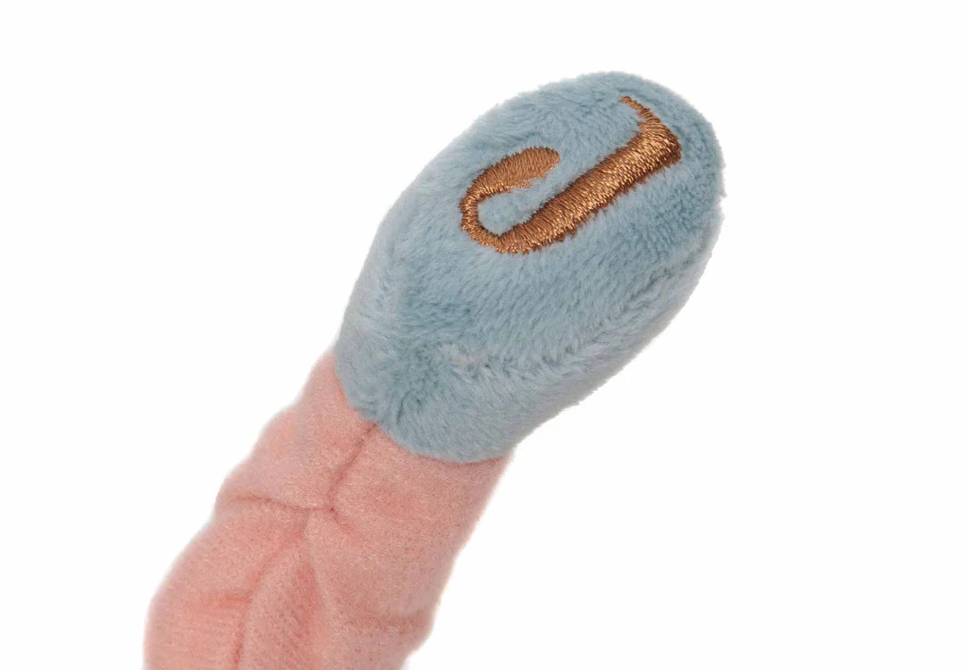 Miqtë e Vegjël të Magjisë