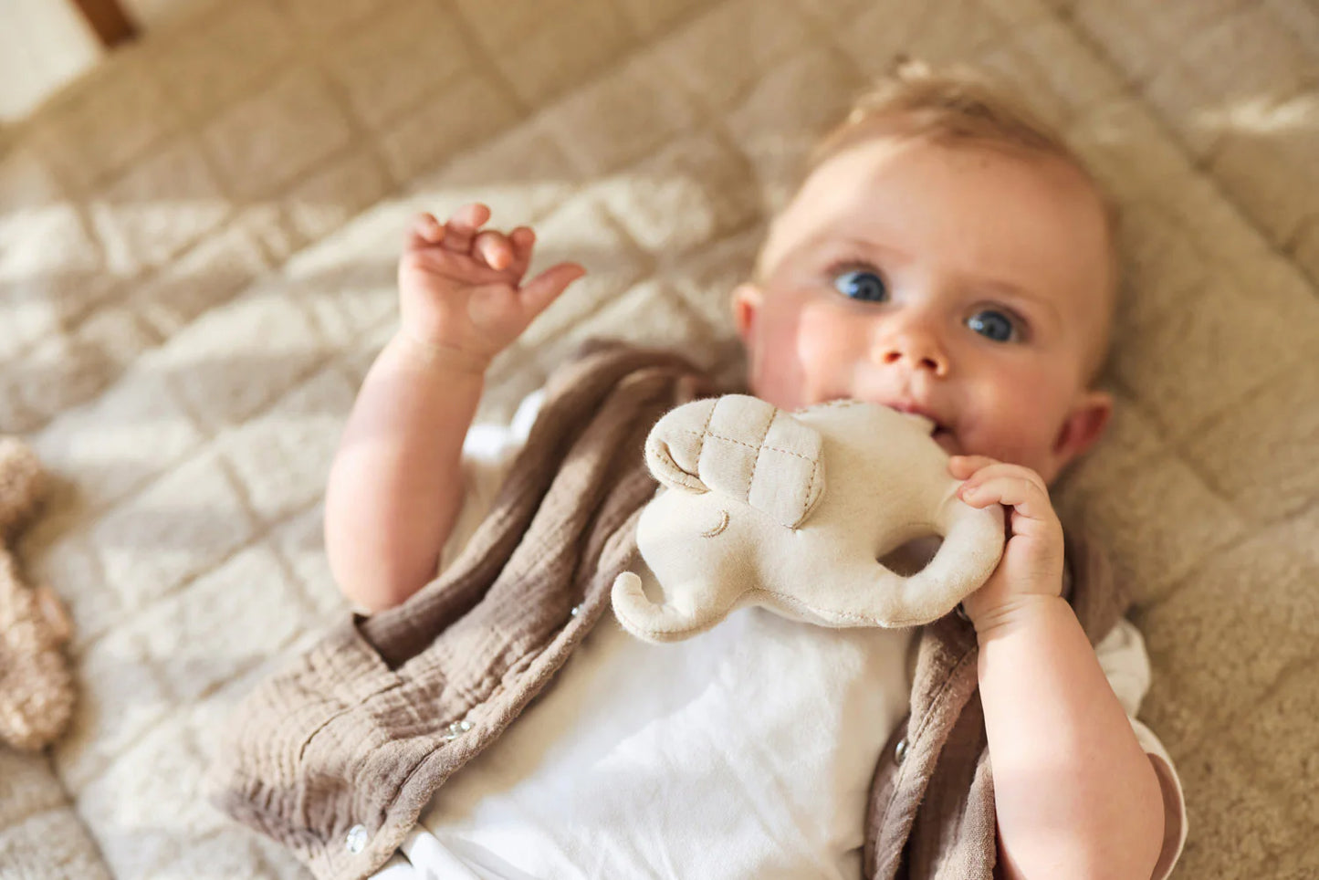 Lodër me Tingull “Përrallat e Elefantit”