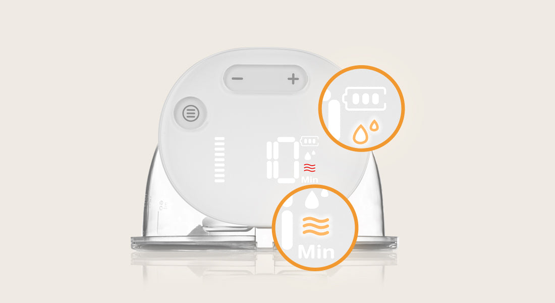 LOC-FIDI FREE SIMPLE