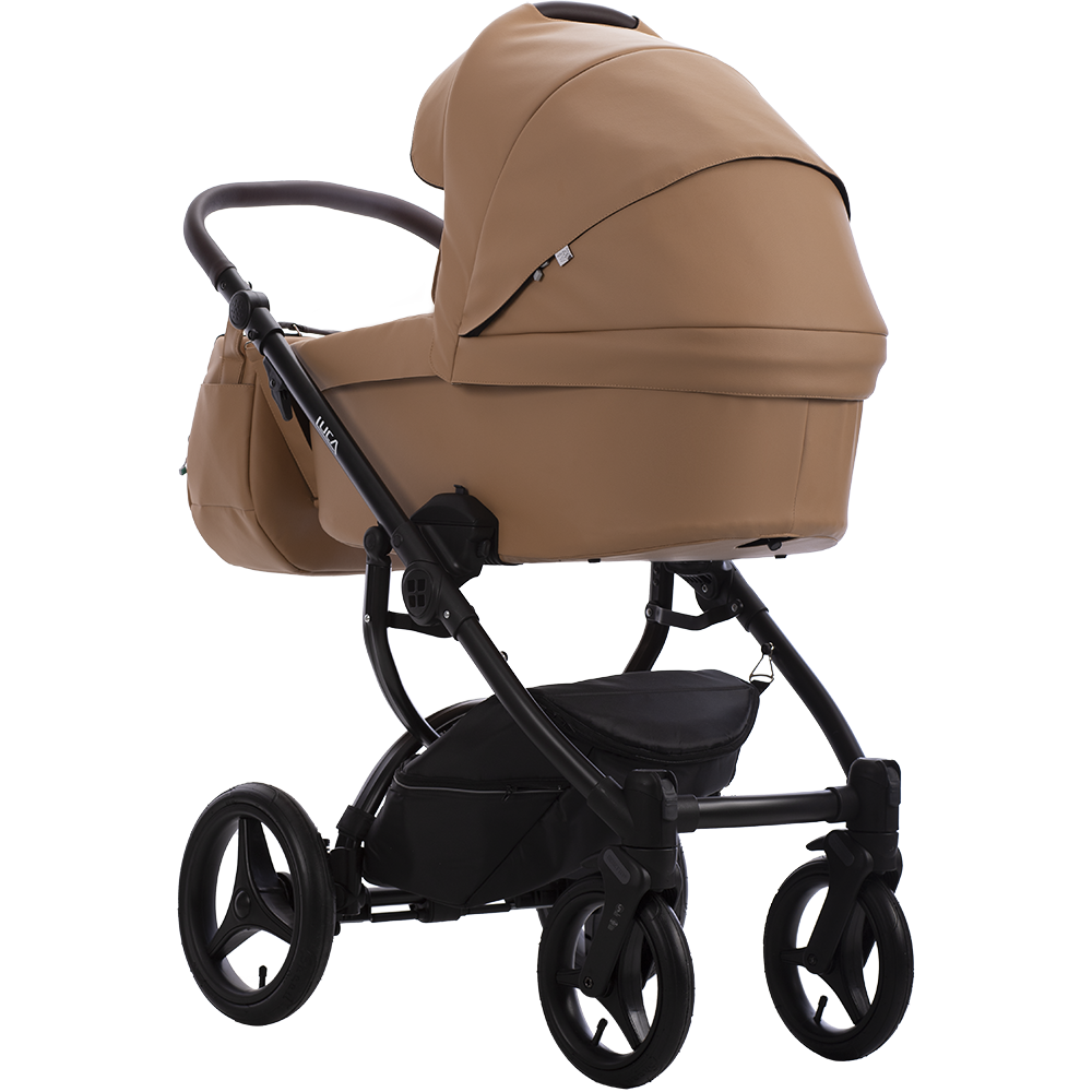 Luca Pro 31