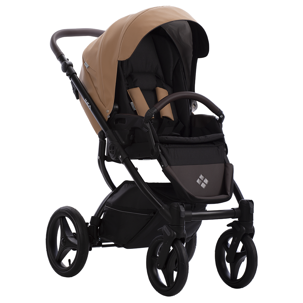 Luca Pro 31