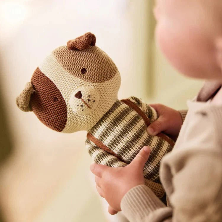 Lodër e Butë Qenush