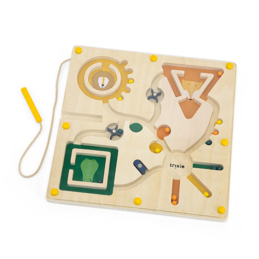 Labirint magnetik