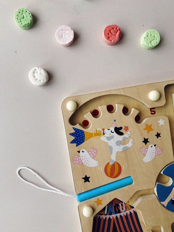 Labirint cirku magnetik